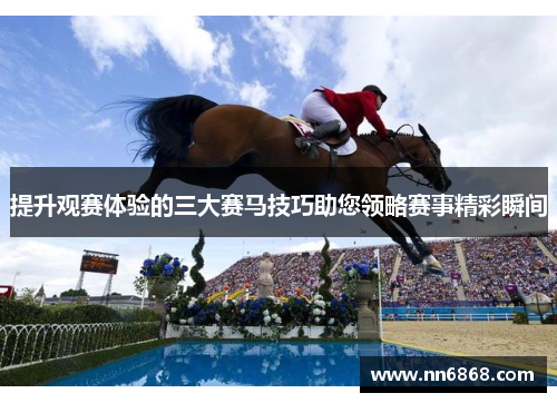 提升观赛体验的三大赛马技巧助您领略赛事精彩瞬间